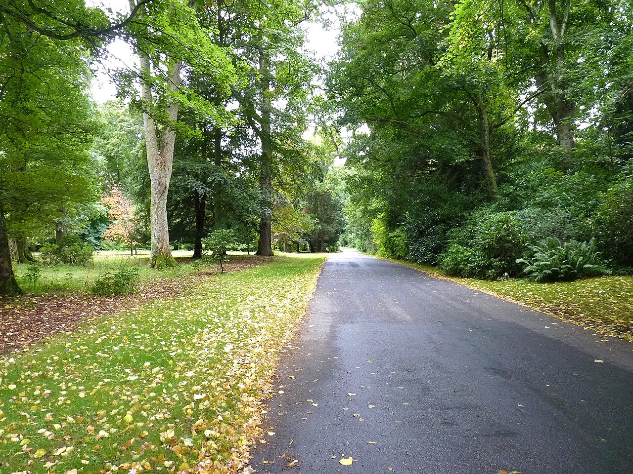 Changing leaves context for weather and seasonal observation