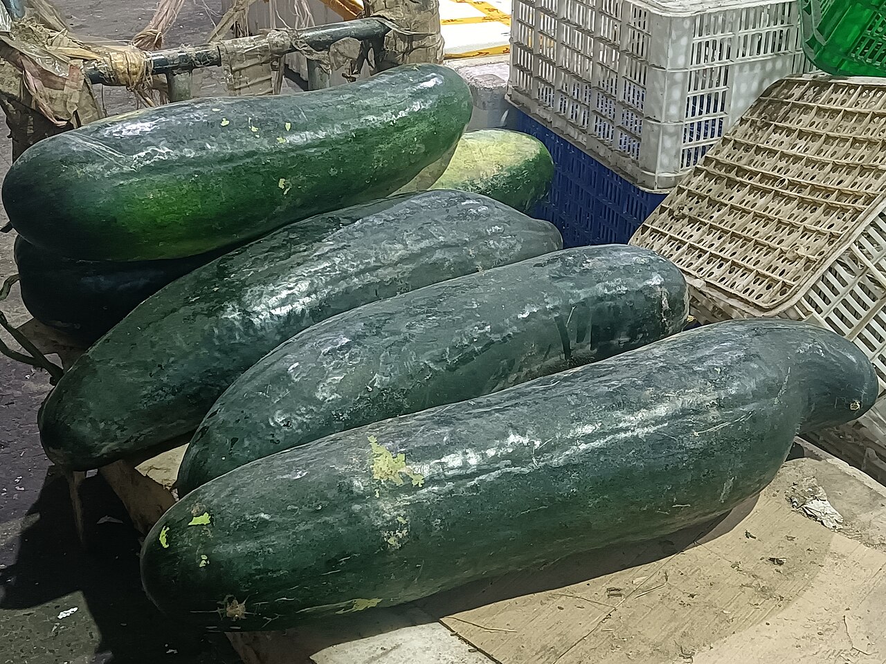 Chinese winter vegetables supporting the section about calendar position, snow signal, and practical comparison