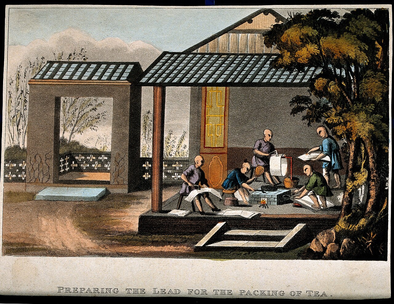 tea plantation China supporting calendar position and rain signal