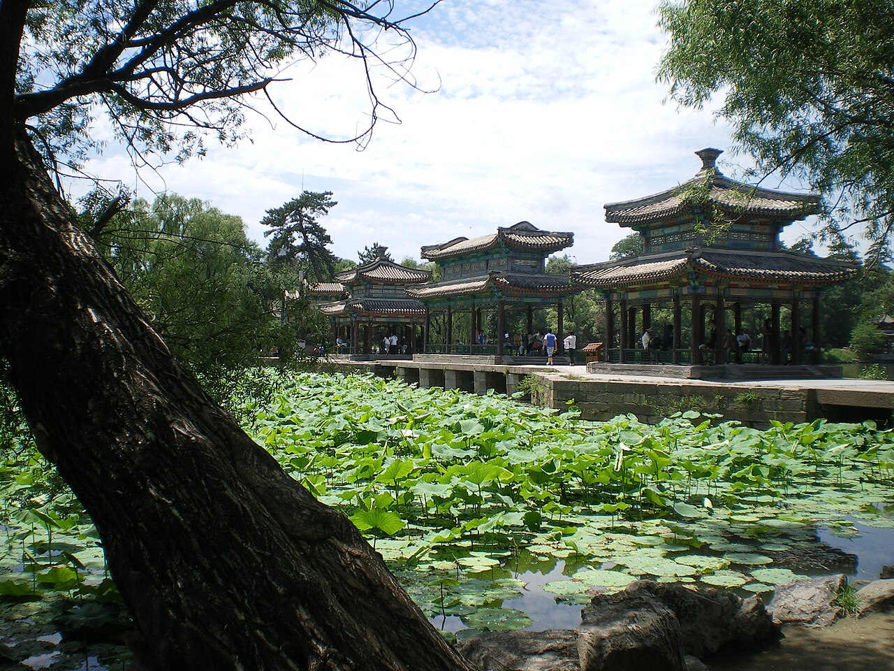 lesser heat solar term meaning opening scene showing summer heat China